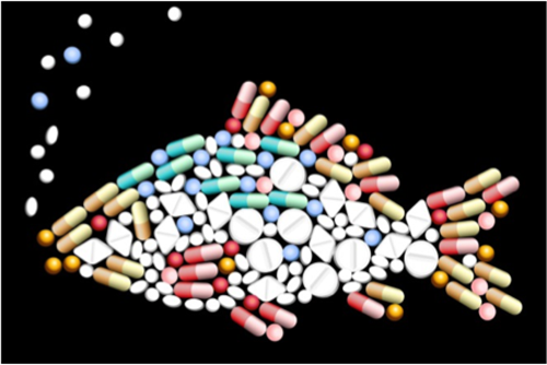 KIỂM SOÁT KHÁNG SINH TRONG NUÔI TRỒNG THỦY SẢN