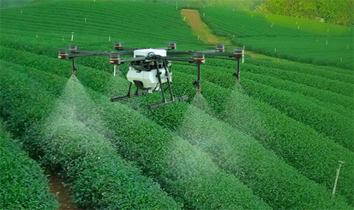 Quy chuẩn chất lượng thuốc bảo vệ thực vật yêu cầu gì?