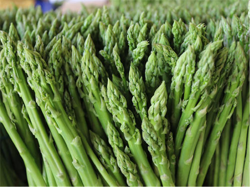 ISO 20981: TIÊU CHUẨN QUỐC TẾ DÀNH RIÊNG CHO THỰC PHẨM MĂNG TÂY