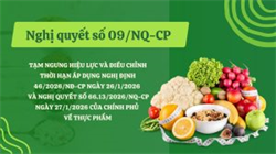 TẠM NGƯNG THI HÀNH NGHỊ ĐỊNH 46/2026/NĐ-CP VÀ NGHỊ QUYẾT 66.13/2026/NQ-CP VỀ AN TOÀN THỰC PHẨM