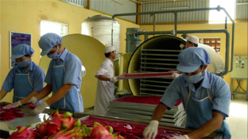 ỨNG DỤNG ENZYME TRONG SẢN XUẤT NƯỚC THANH LONG