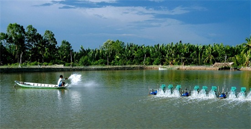 XỬ LÝ AMONI VÀ NITRIT TRONG NUÔI TRỒNG THỦY SẢN BẲNG CHẾ PHẨM SINH HỌC