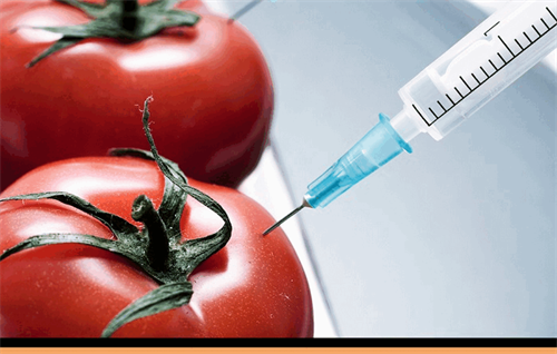 HÓA CHẤT DÙNG ĐỂ BẢO QUẢN THỰC PHẨM VÀ NHỮNG NGUY CƠ TIỀM ẨN