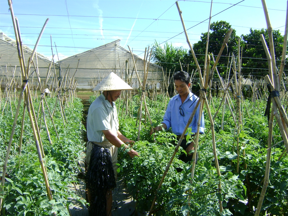 VIETGAP – “TẤM HỘ CHIẾU XANH” NÂNG TẦM NÔNG SẢN LÂM ĐỒNG