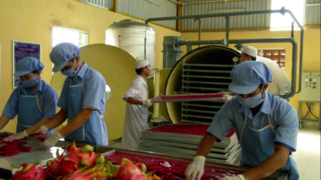 Việc tăng cường các sản phẩm chế biến như nước ép thanh long là điều cần thiết để mở rộng đầu ra cho trái thanh long. Nguồn: ifoodvietnam