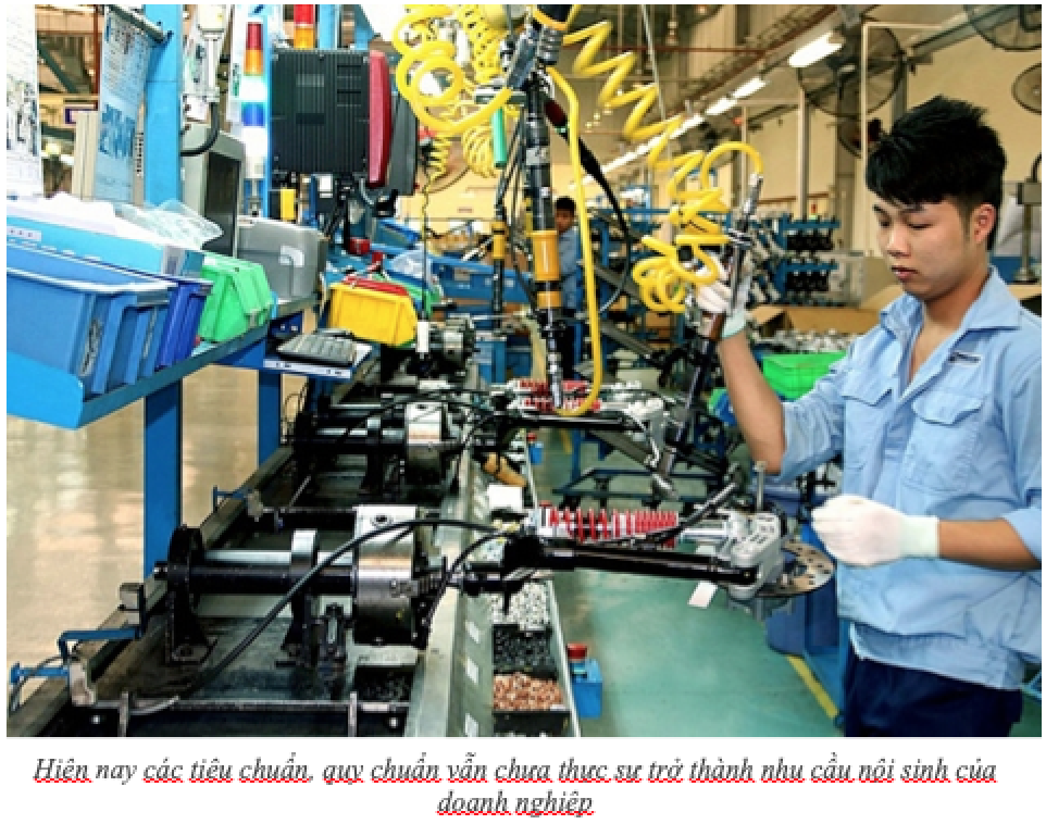 Description: https://www.most.gov.vn/Images/editor/images/de%20tieu%20chuan1.jpg