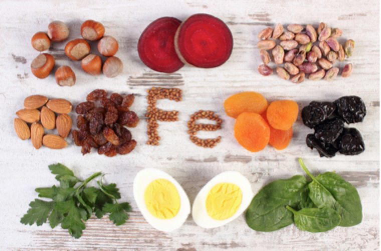 Description: Kết quả hình ảnh cho hình ảnh liên quan đến sắt trong cơ thể