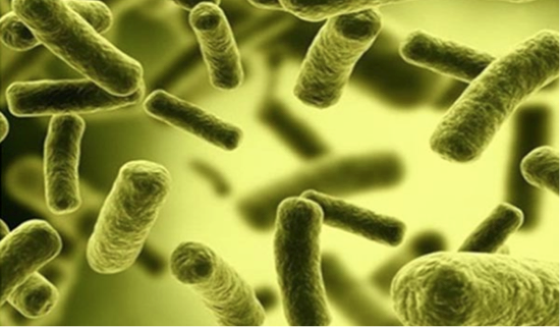 Description: Nguy cơ nhiễm vi khuẩn Coliform trong nước