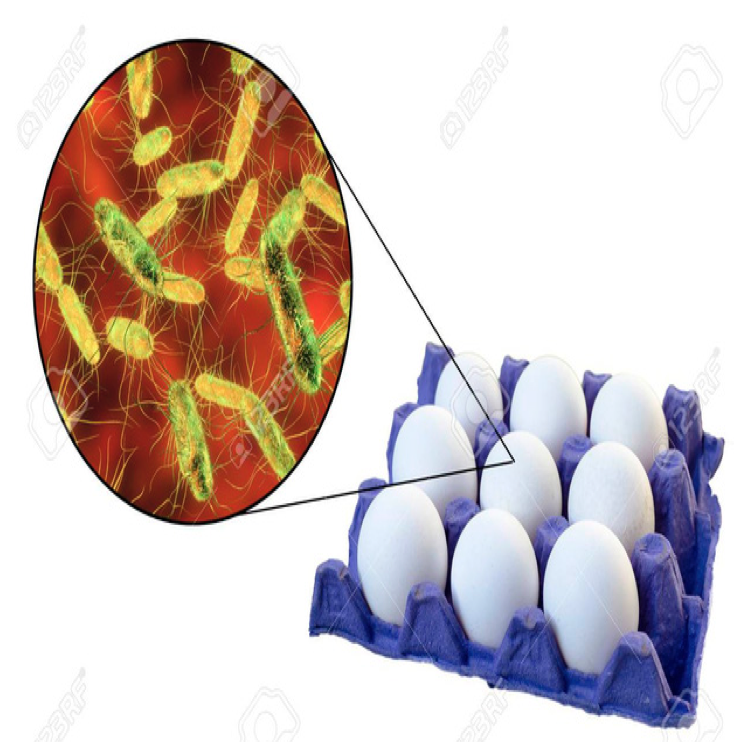 12 lưu ý khi mua, bảo quản và chế biến trứng để bảo đảm sức khoẻ - Ảnh 2.