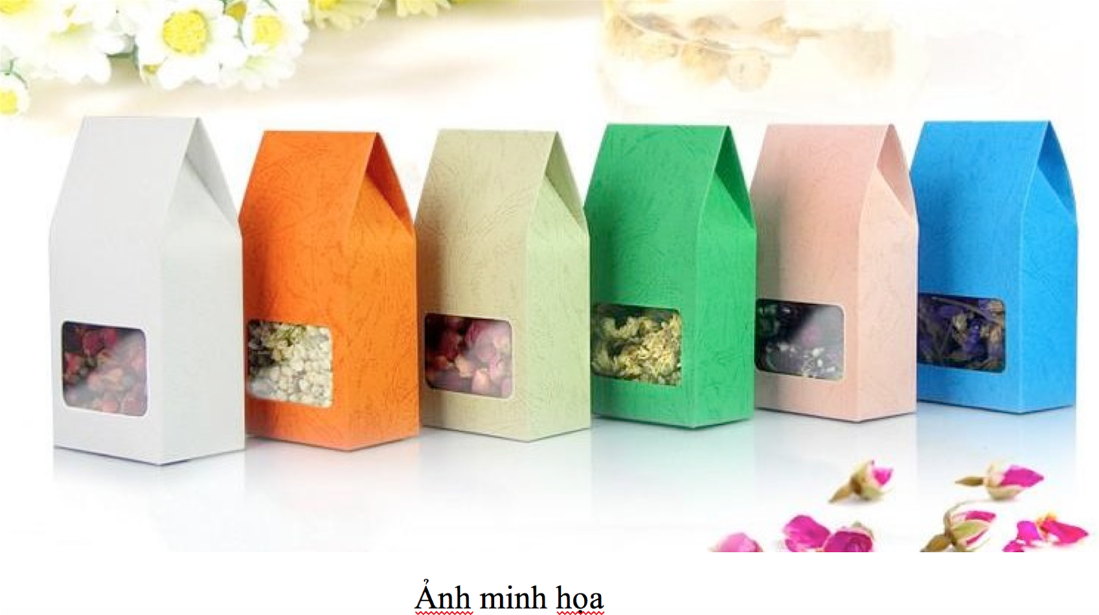 CREATOR: gd-jpeg v1.0 (using IJG JPEG v62), quality = 82